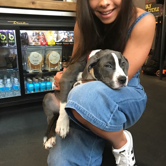 Meet your Posher, Mara - Picture 8 of 8